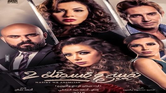 نصيبي وقسمتك الموسم 2 الحلقة 8