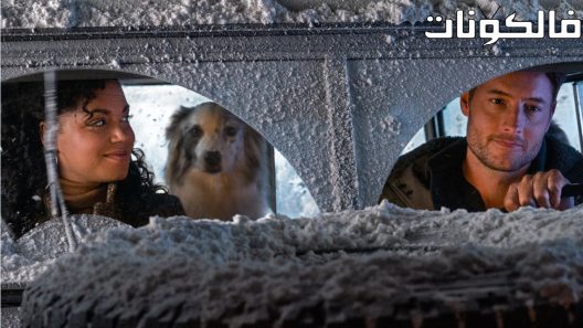 فيلم The Noel Diary 2022 يوميات نويل موقع سيما كلوب