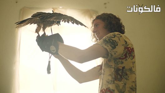 فيلم The Falconer 2021 الصقار موقع عرب سيد