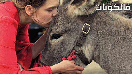 فيلم EO 2022 هناك موقع موفيز لاند