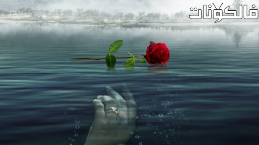 فيلم A Rose for Her Grave: The Randy Roth Story 2023 وردة لقبرها: قصة راندي روث موقع ايجي بست