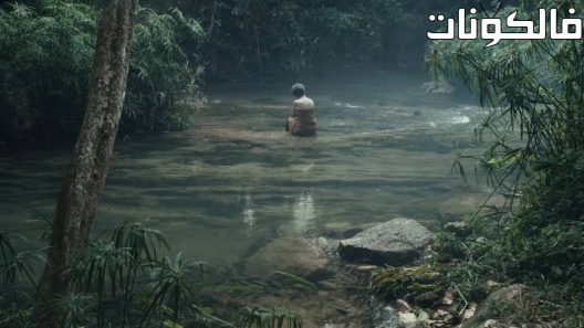 فيلم Anatomy of Time 2021 تشريح الزمن موقع ماي سيما