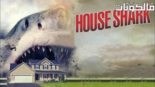 فيلم House Shark 2017 بيت القرش موقع عرب ليونز