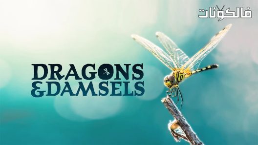 فيلم Dragons and Damsels 2020 التنانين وداملس موقع ماي سيما