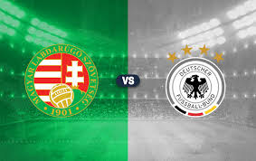 مباراة هولندا والمجر بث مباشر اليوم السبت 19-11-2024 يلا شوت